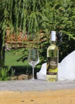 Bílé dealkoholizované víno La Côte de Vincent Blanc je super volbou nejen pro řidiče