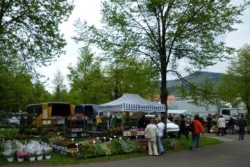 BLÍŽÍ SE VALAŠSKÁ ZAHRADA 2011