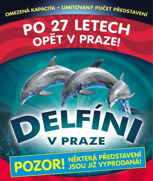 DELFINOTERAPIE: ZAPLAVTE SI S DELFÍNY A ZBAVÍTE SE BOLESTI I TRAUMAT!