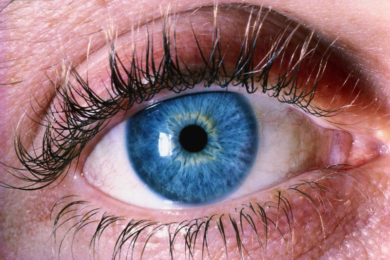 IRISDIAGNOSTIKA: OKO PROZRADÍ NÁŠ ZDRAVOTNÍ STAV