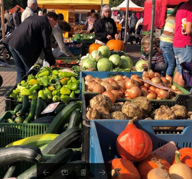 Českým farmářům chybí podpora politiků. Vzor hledají v Německu