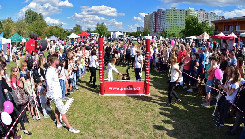 Rande stovek psů bude tradičně na Lužinách