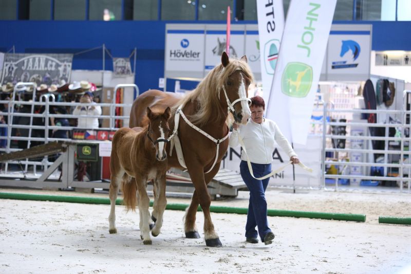 ANIMAL TECH a Národní výstava hospodářských zvířat se těší velkému zájmu odborníků